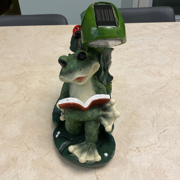 Solar Powered Frog Reader Garden Decor - Picture 8 of 13